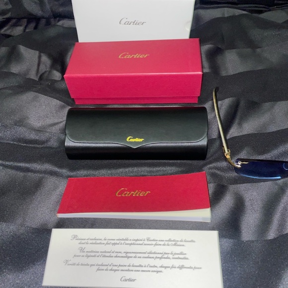 CARTIER CT0046O HORN ICE BLUE SUNGLASSES - Picture 2 of 3